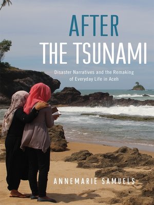 cover image of After the Tsunami